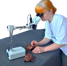 Load image into Gallery viewer, Stereo Microscope for repairs & inspection, long-reach arm, very long working distance