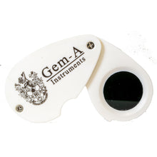 Load image into Gallery viewer, Chelsea Filter - Photograph 1