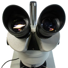 Load image into Gallery viewer, Stereo Zoom Microscope, 7X to 45X + rim light

