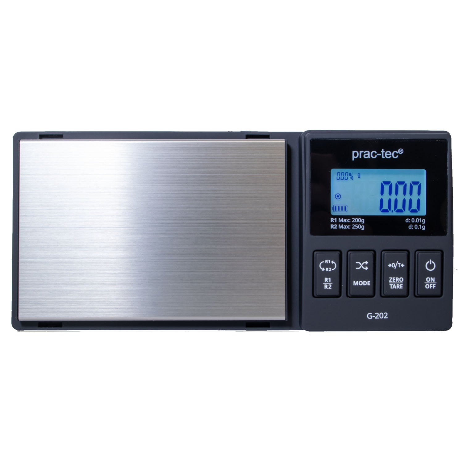 REG-250, 200g / 0.01g and 250g / 0.1g combined